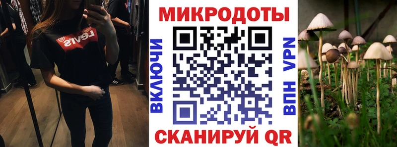 Псилоцибиновые грибы Psilocybine cubensis  где продают наркотики  Солнечногорск 